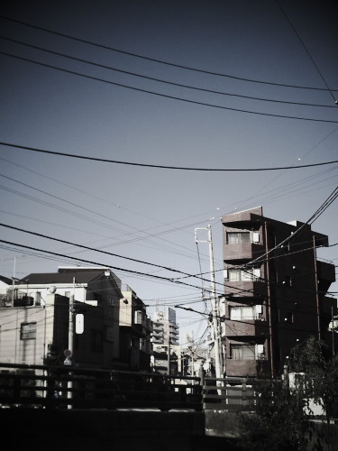 䕗ʂ߂YȐ