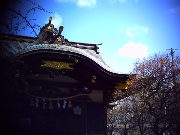 撮影サンプル
