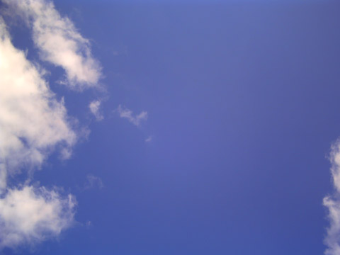 glʂ̖ʐ^