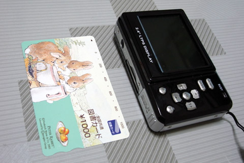 ViviCam 5050̃TCY