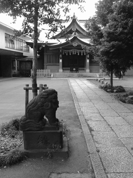 撮影サンプル