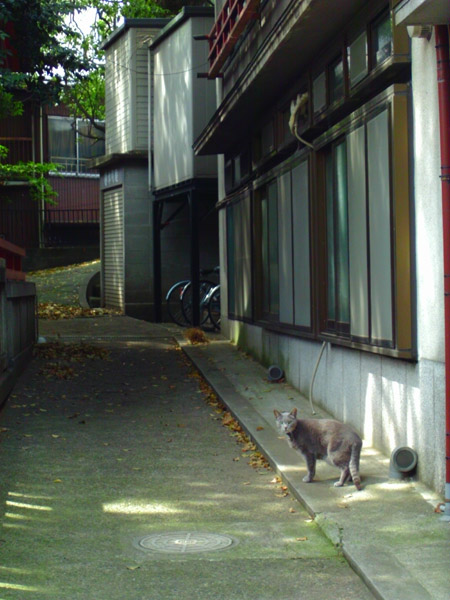 撮影サンプル
