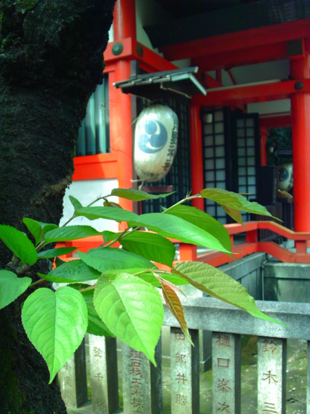 撮影サンプル
