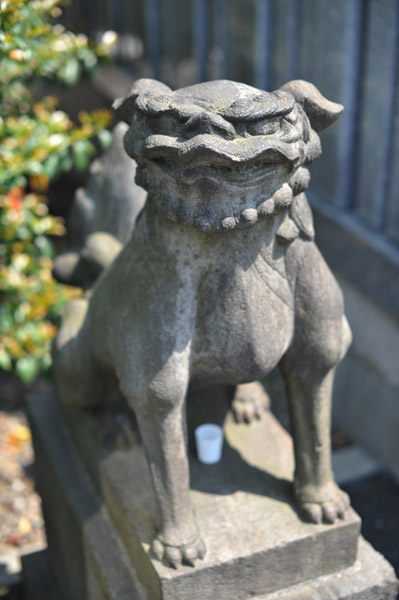 氷川神社の狛犬