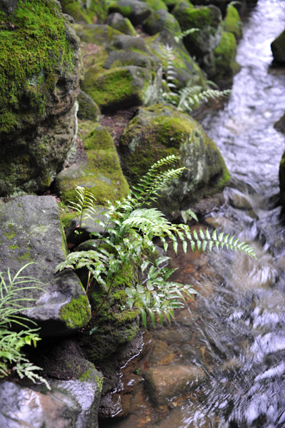 音無親水公園