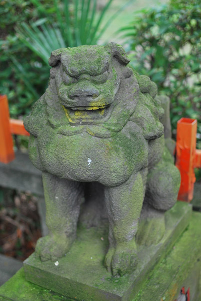 c뉀