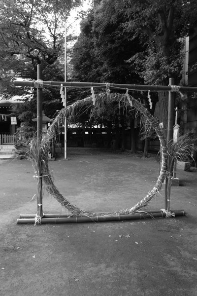 Vc_Ђ̋̕i