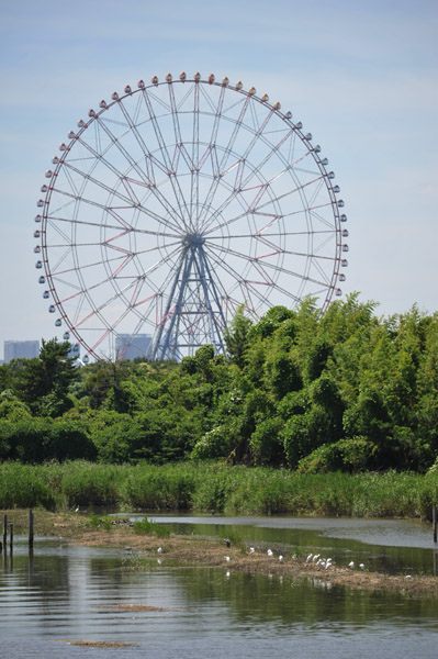 葛西臨海公園の海岸風景