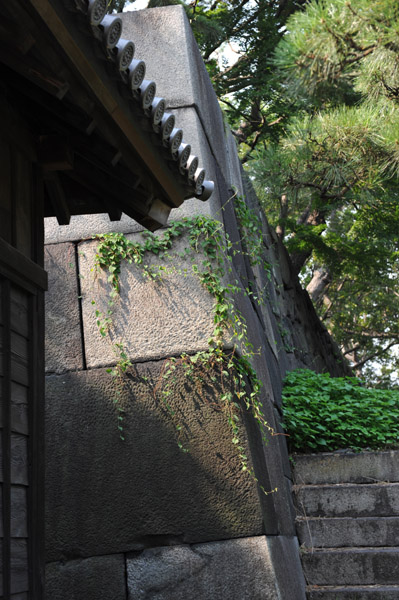 真夏の皇居