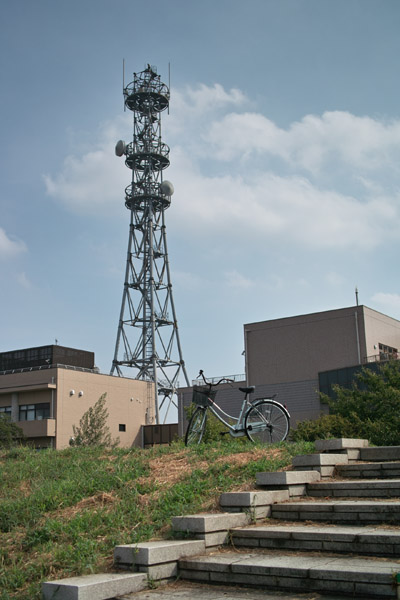 荒川赤水門緑地から