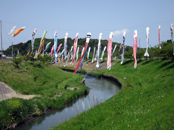 千葉県市原市村田川の瀬又の鯉のぼり