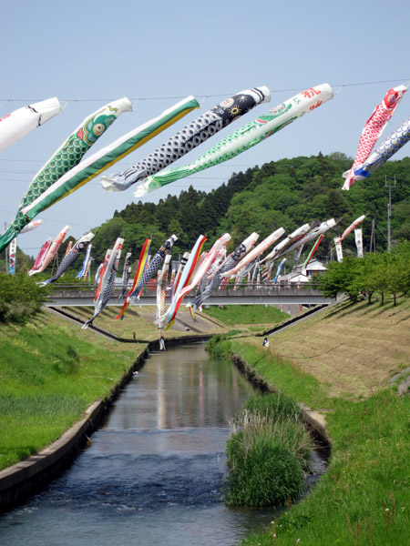 千葉県市原市村田川の瀬又の鯉のぼり