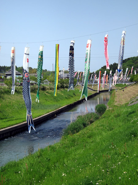 千葉県市原市村田川の瀬又の鯉のぼり