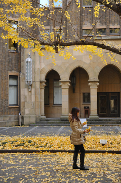 東京都内の紅葉の名所　東京大学本郷キャンパスの風景