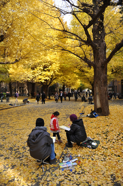 東京都内の紅葉の名所　東京大学本郷キャンパスの風景
