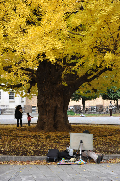東京都内の紅葉の名所　東京大学本郷キャンパスの風景