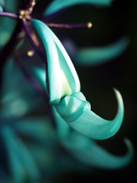 Dt[Z^[̈|IɔqXCJY