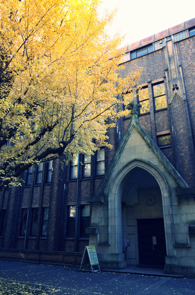 東京大学本郷キャンパスの銀杏の紅葉