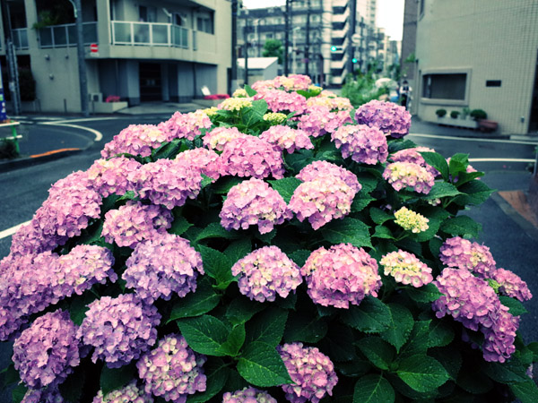 ō炫AWTC̉ԒB