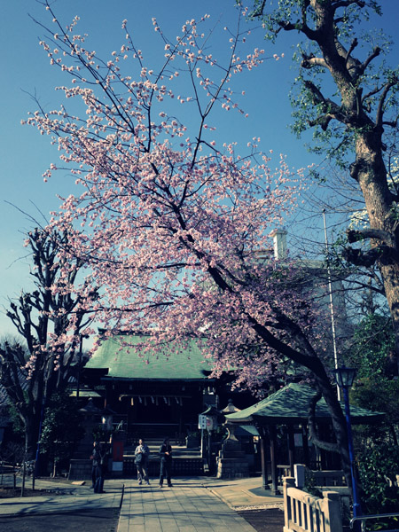 ƌܞV_Ђ̍ʐ^