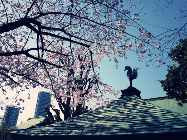 ܞV_Ђ̍Ǝ萅̖P