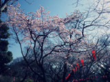 ƌܞV_Ђ̍ʐ^